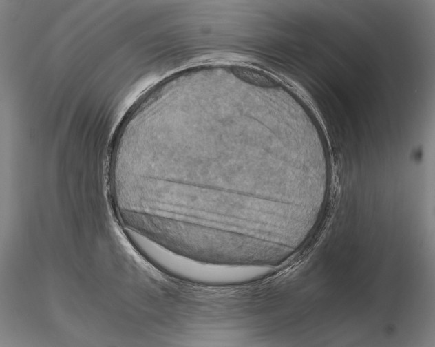 X0000114620997200912010957