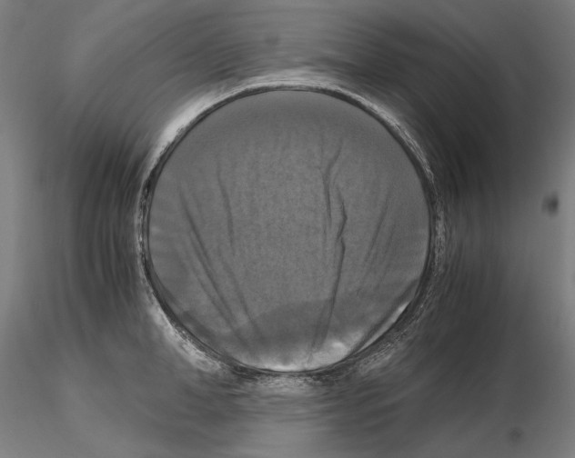 X0000114620998200912010957