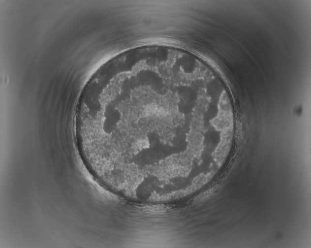 X0000114620999200912010957