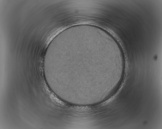 X0000114621001200912010957