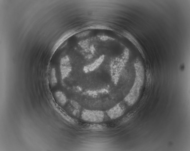 X0000114621002200912010957