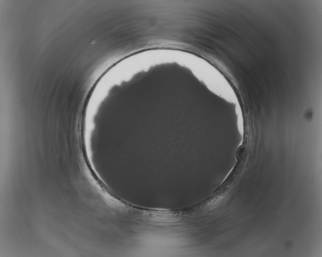 X0000114621007200912010957