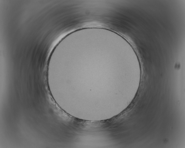 X0000114621008200912010957