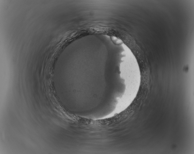 X0000114621009200912010956