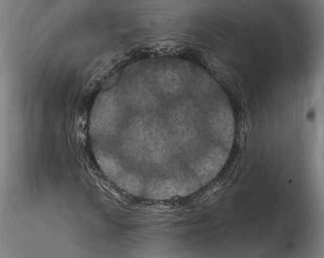 X0000114621010200912010956