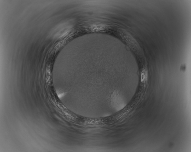 X0000114621011200912010956