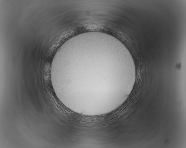 X0000114621012200912010956