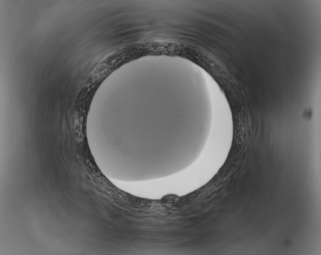 X0000114621013200912010956