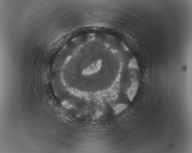 X0000114621014200912010956