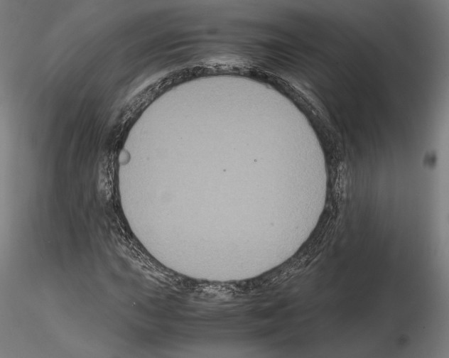 X0000114621015200912010956