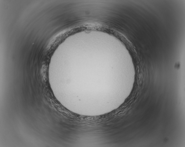 X0000114621016200912010956