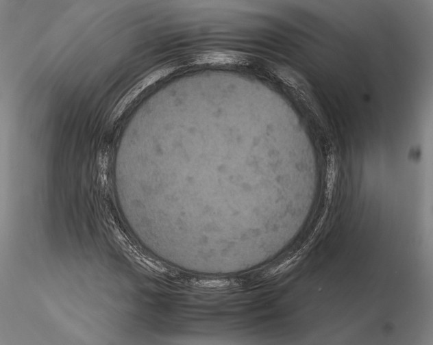 X0000114621017200912010956