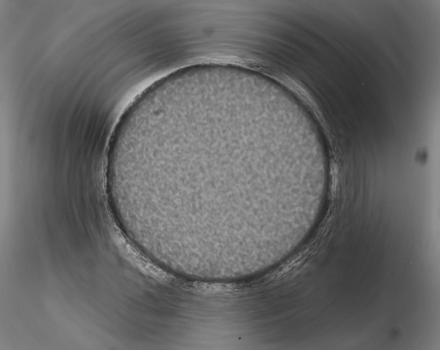 X0000114621020200912010956