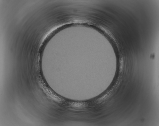 X0000114621021200912010956