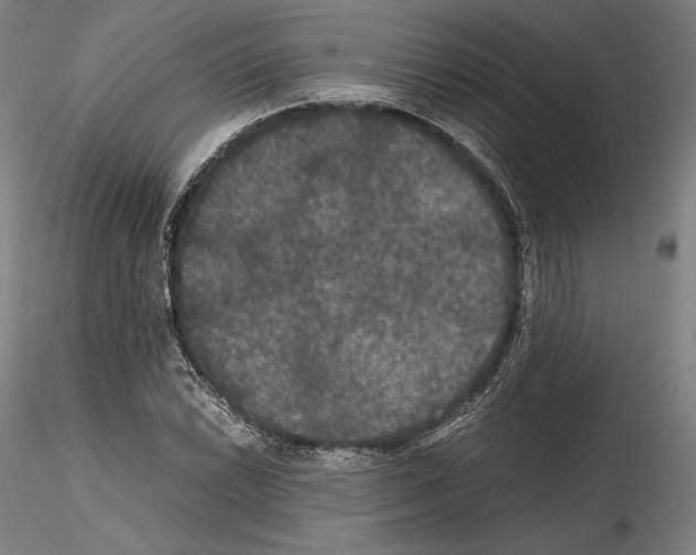 X0000114621022200912010956