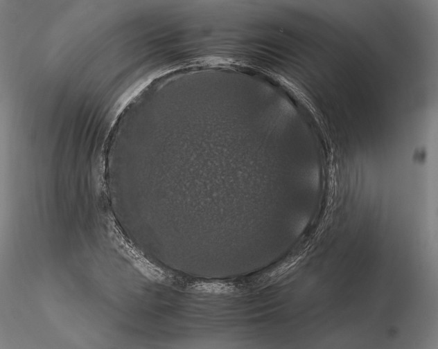 X0000114621023200912010956