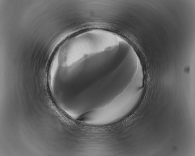 X0000114621024200912010956