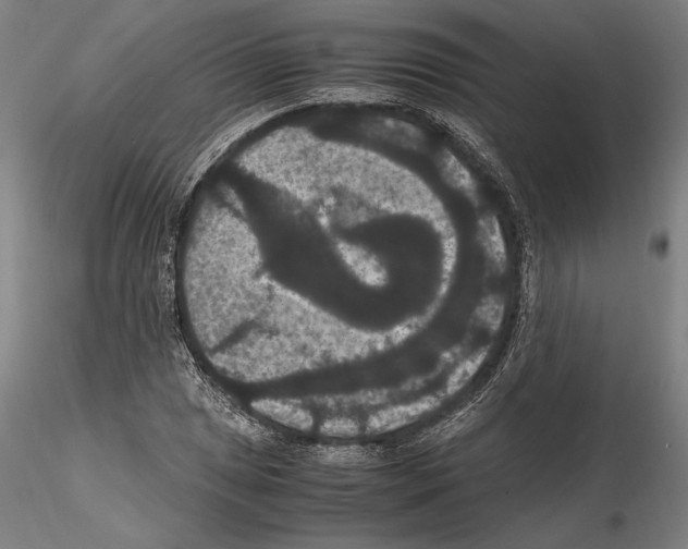 X0000114621025200912010956