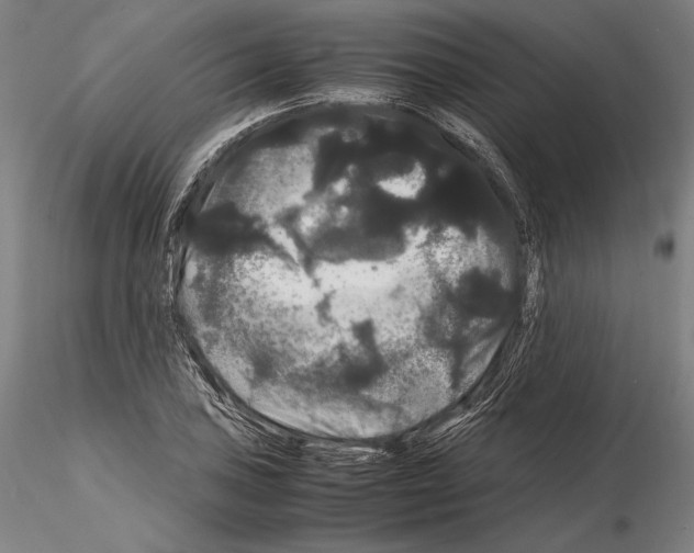 X0000114621027200912010956