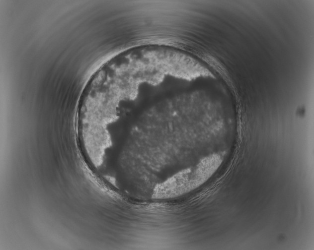 X0000114621028200912010956