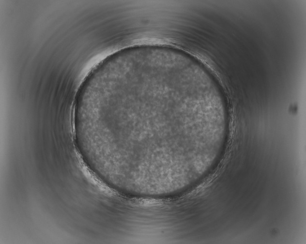 X0000114621030200912010956