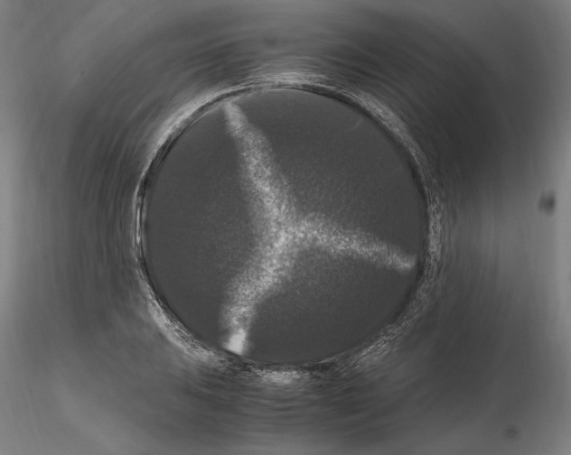 X0000114621031200912010956