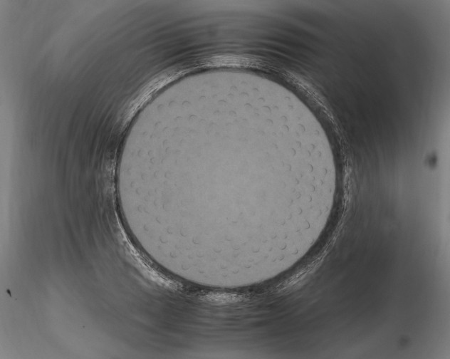 X0000114621033200912010956