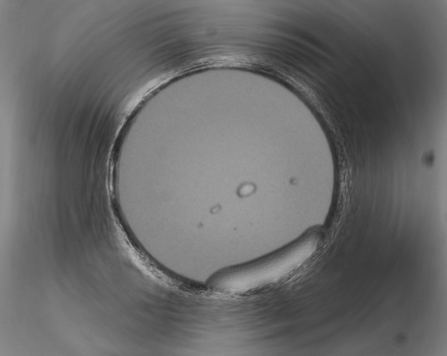 X0000114621034200912010956