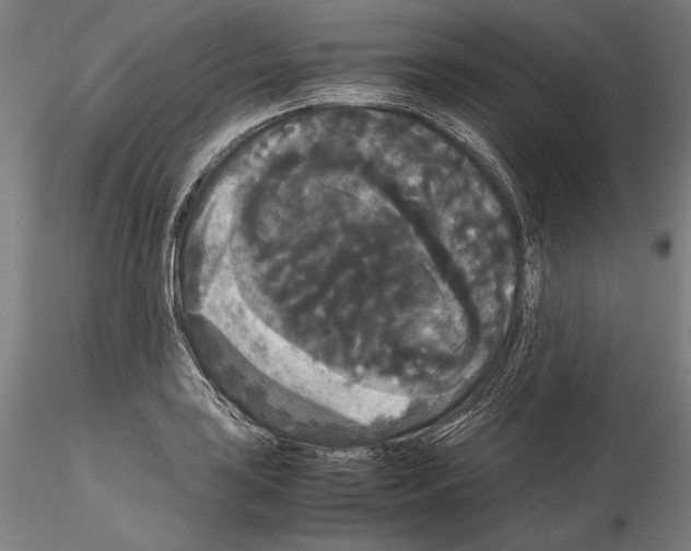 X0000114621035200912010956