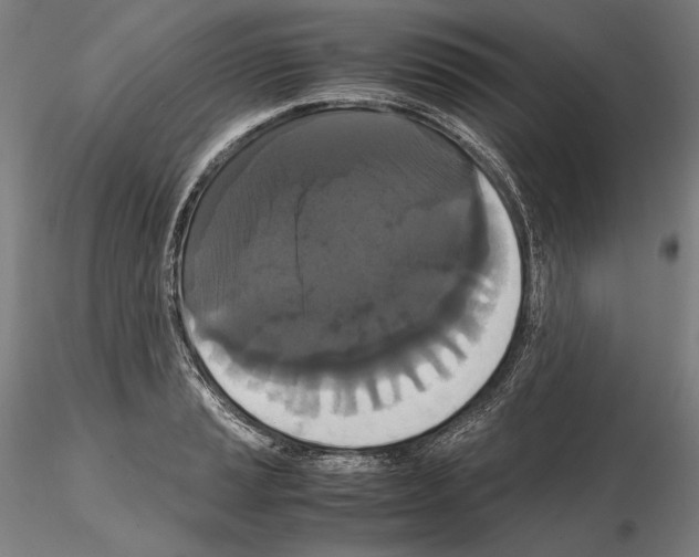 X0000114621037200912010956