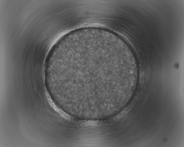 X0000114621038200912010956