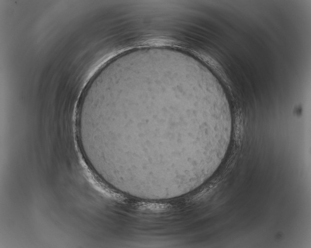 X0000114621039200912010956