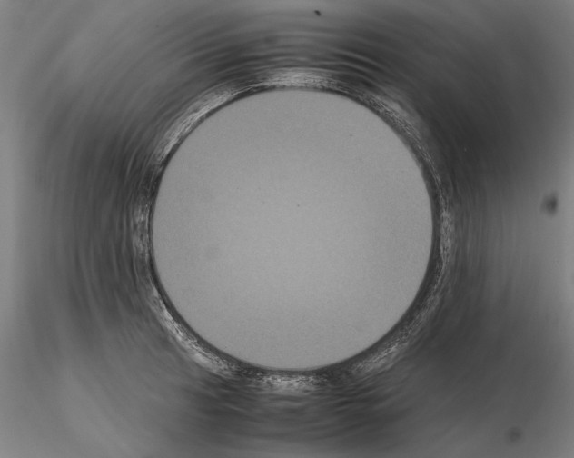 X0000114621041200912010956