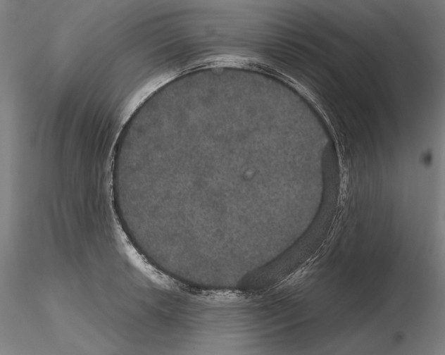 X0000114621042200912010956