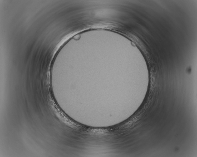 X0000114621044200912010956