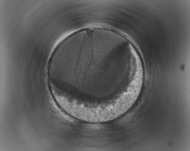 X0000114621045200912010957