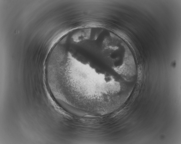 X0000114621047200912010957