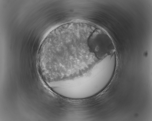 X0000114621048200912010957