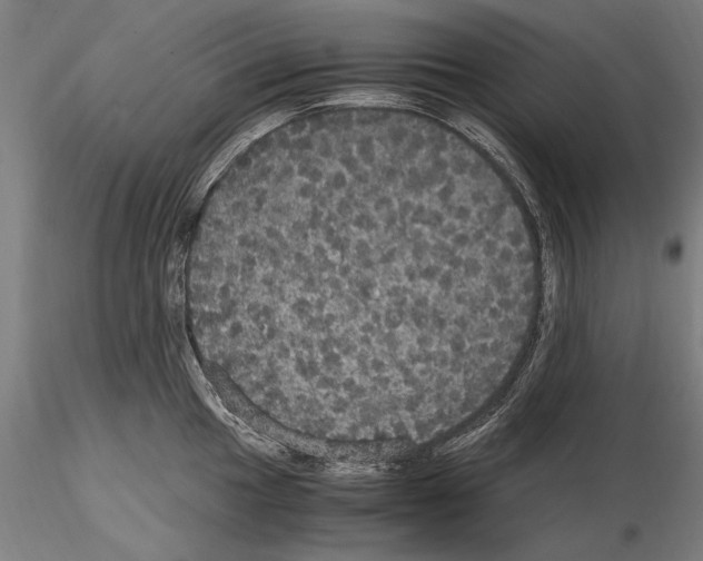 X0000114621049200912010957