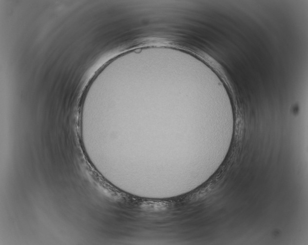 X0000114621051200912010957