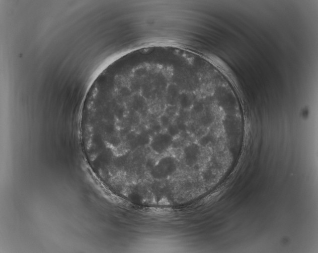 X0000114621052200912010957