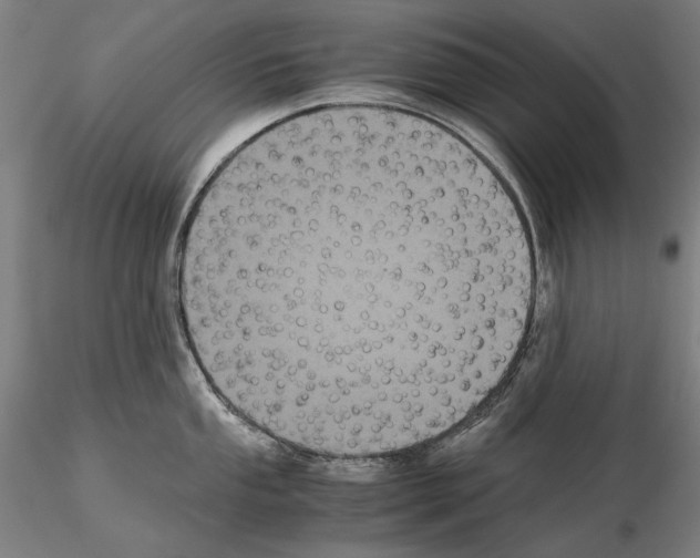 X0000114621053200912010957