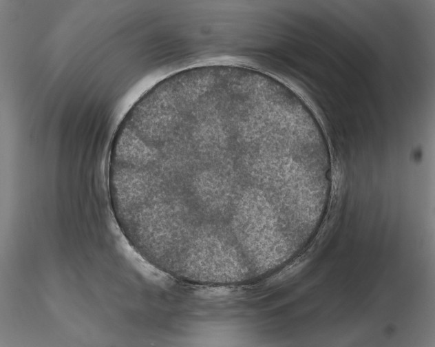 X0000114621054200912010957