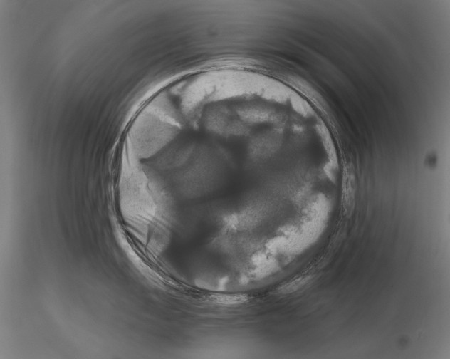 X0000114621055200912010957