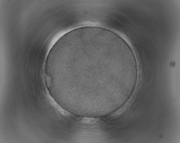 X0000114621056200912010957