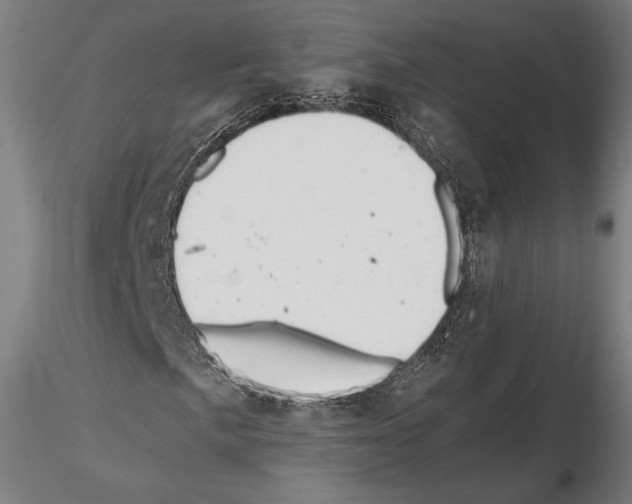 X0000114621057200912010956