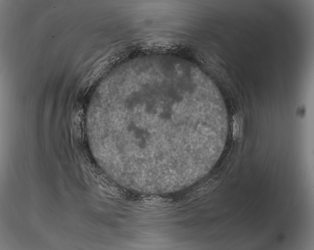 X0000114621059200912010956