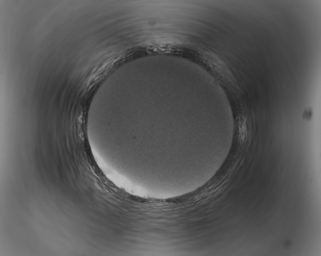 X0000114621060200912010956