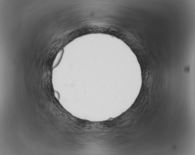 X0000114621061200912010956