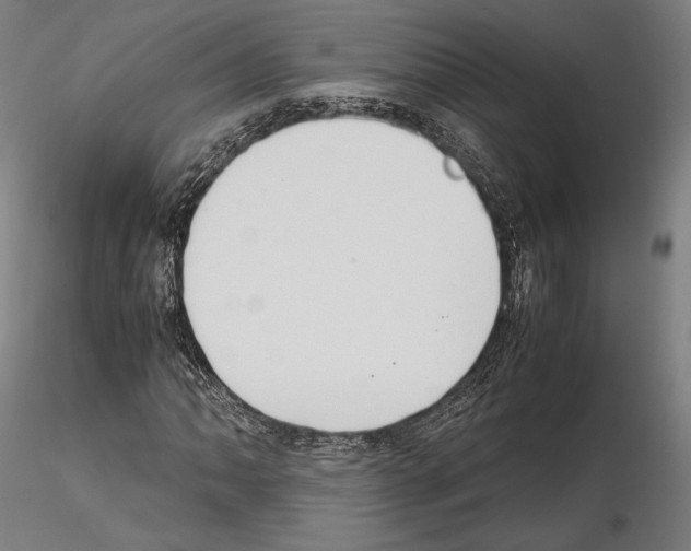 X0000114621062200912010956